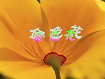 金色花_课件1