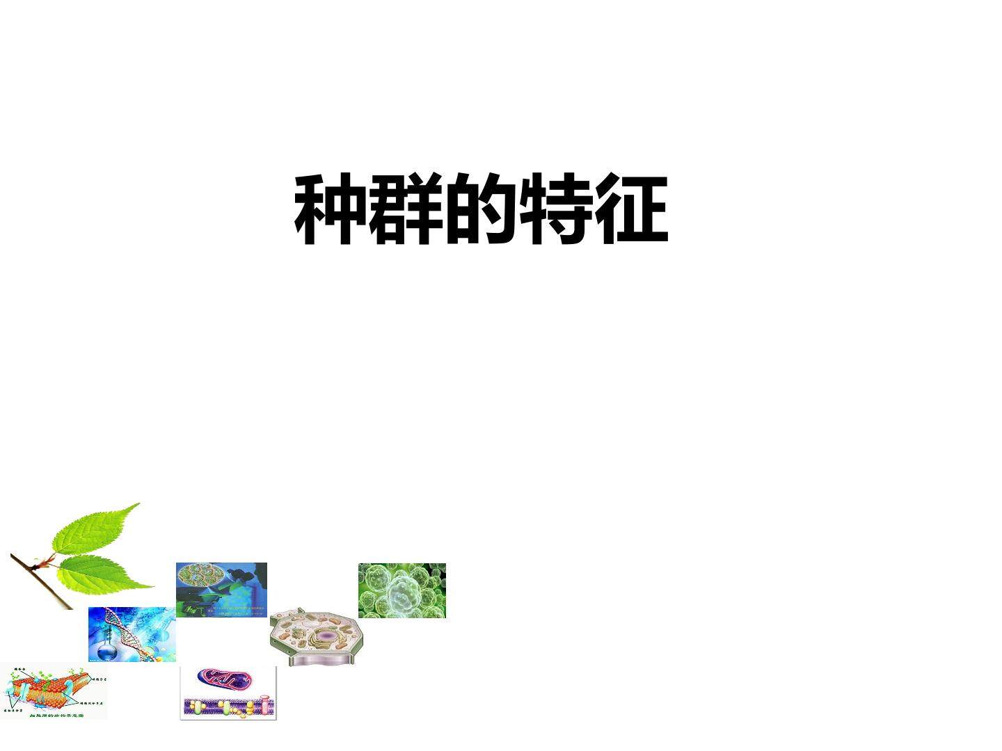 种群的特征_课件1