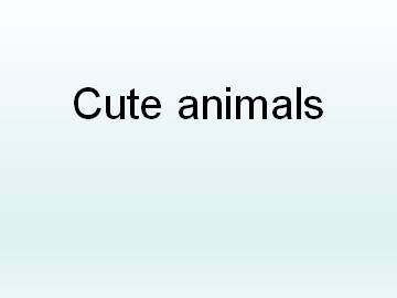 Cute animals_课件1
