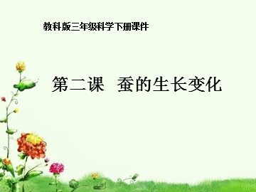 2.蚕的生长变化