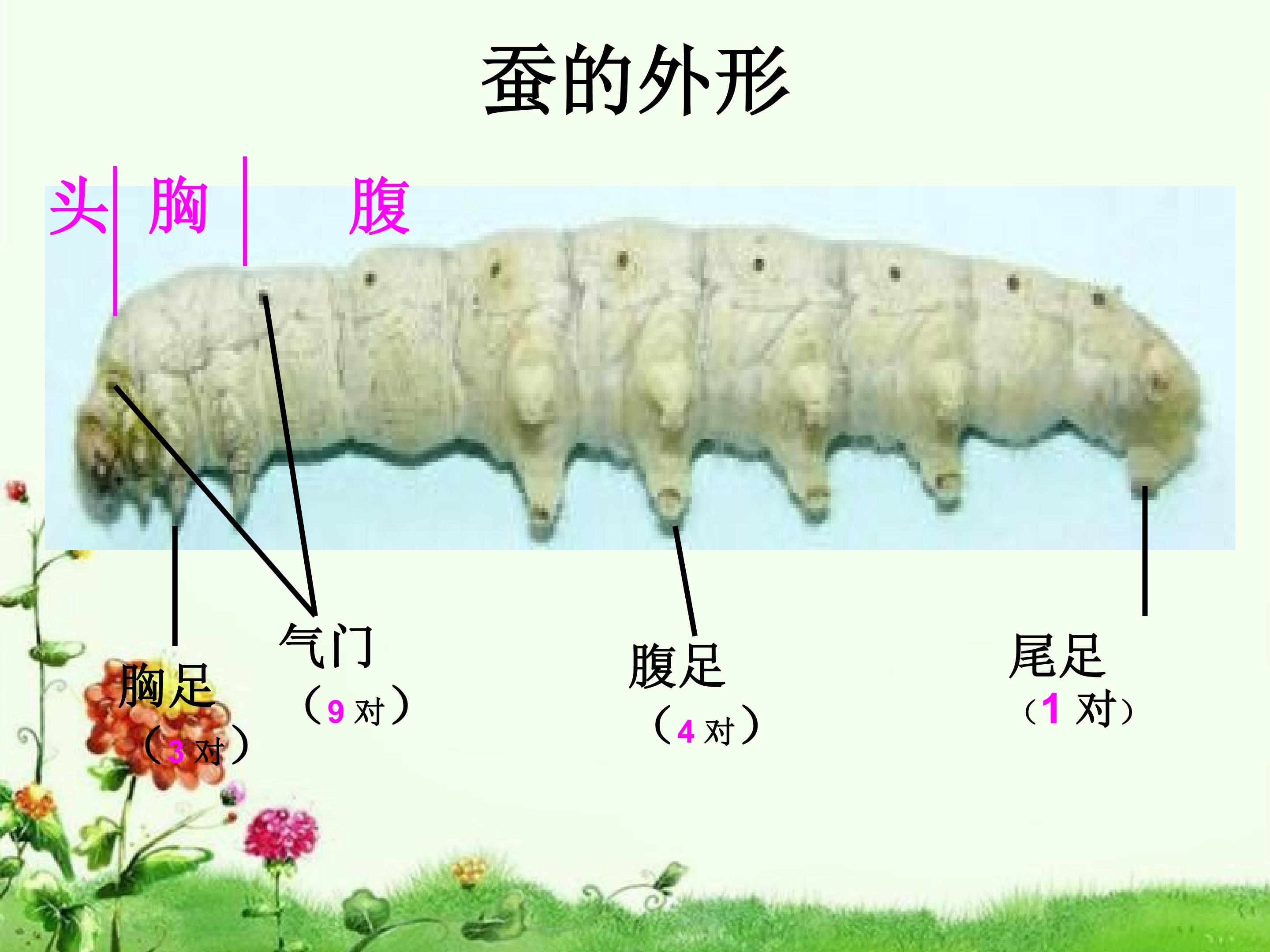 13.jpg