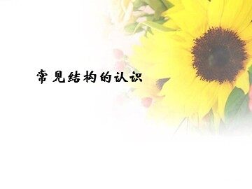 常见结构的认识_课件1