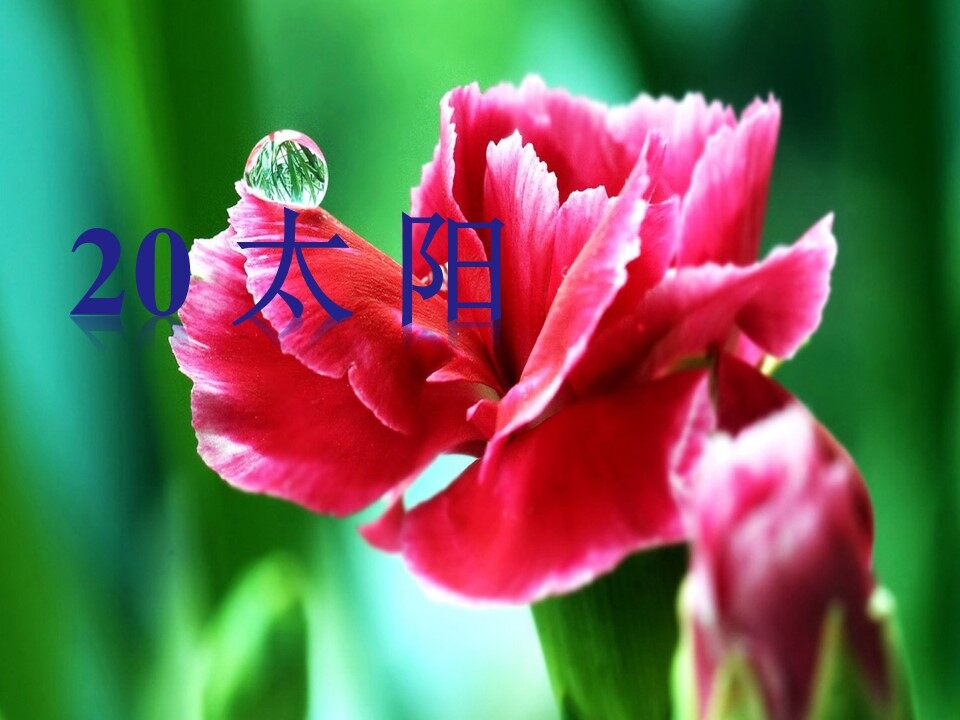 太阳