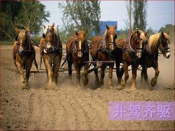 马   说_课件2