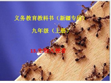 13  生物入侵者