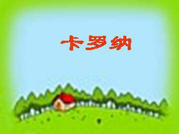卡罗纳_课件3