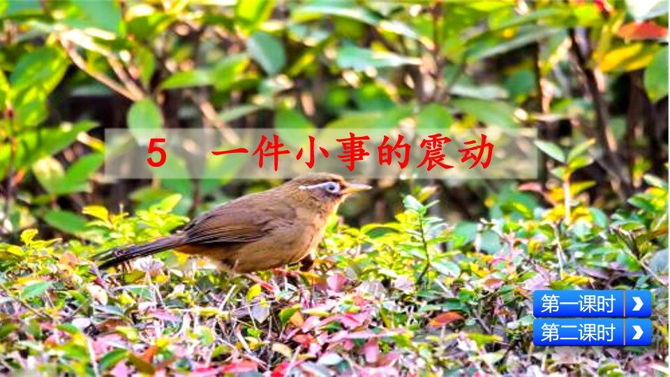 一件小事的震动