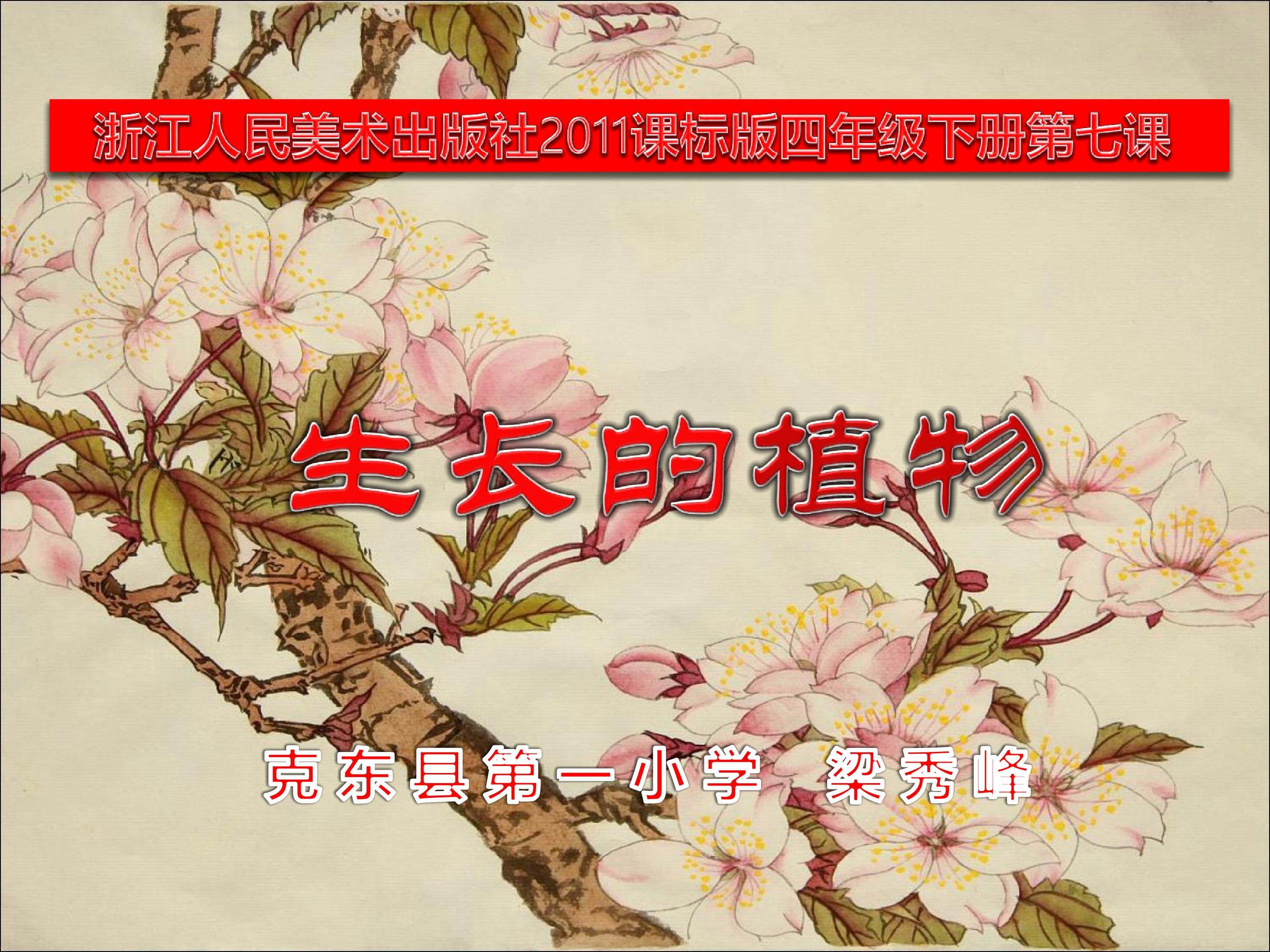 第七课《生长的植物》教学课件