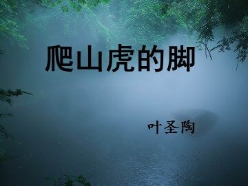 9  爬山虎的脚