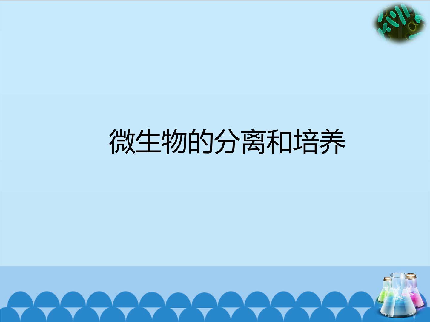 微生物的分离和培养