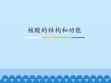 核酸的结构和功能_课件1