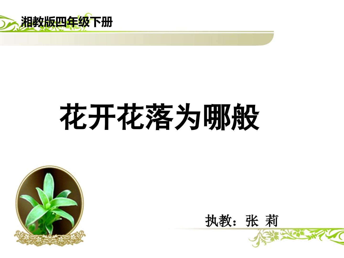 1.花开花落为哪般—第二课时：观察花的构造