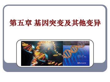 生物高中必修2第五章第二节课件5