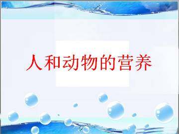 人和动物的营养_课件1