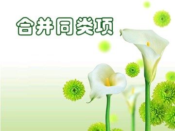 合并同类项_课件1