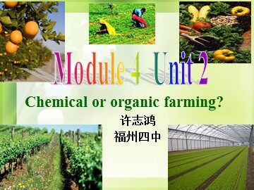 Module 4 Unit 2 Using Langage ok