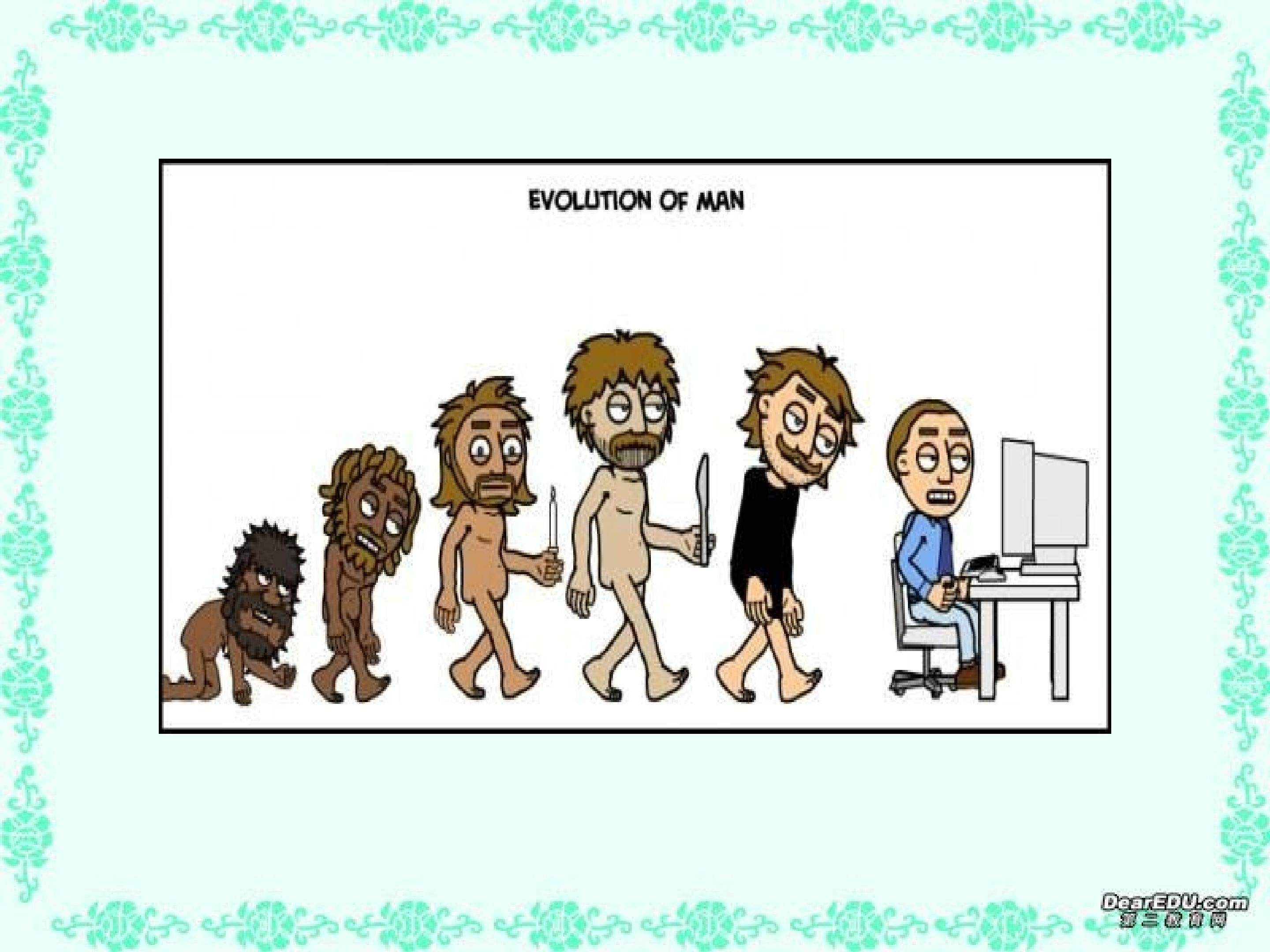 共同进化与生物多样性的形成