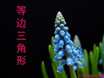 12.3.3等边三角形（平行班）