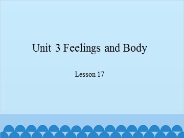 Unit 3 Feelings and Body- Lesson 17_课件1