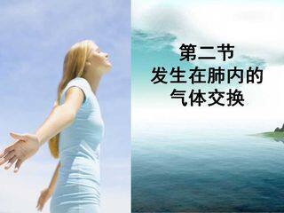 发生在肺内的气体交换