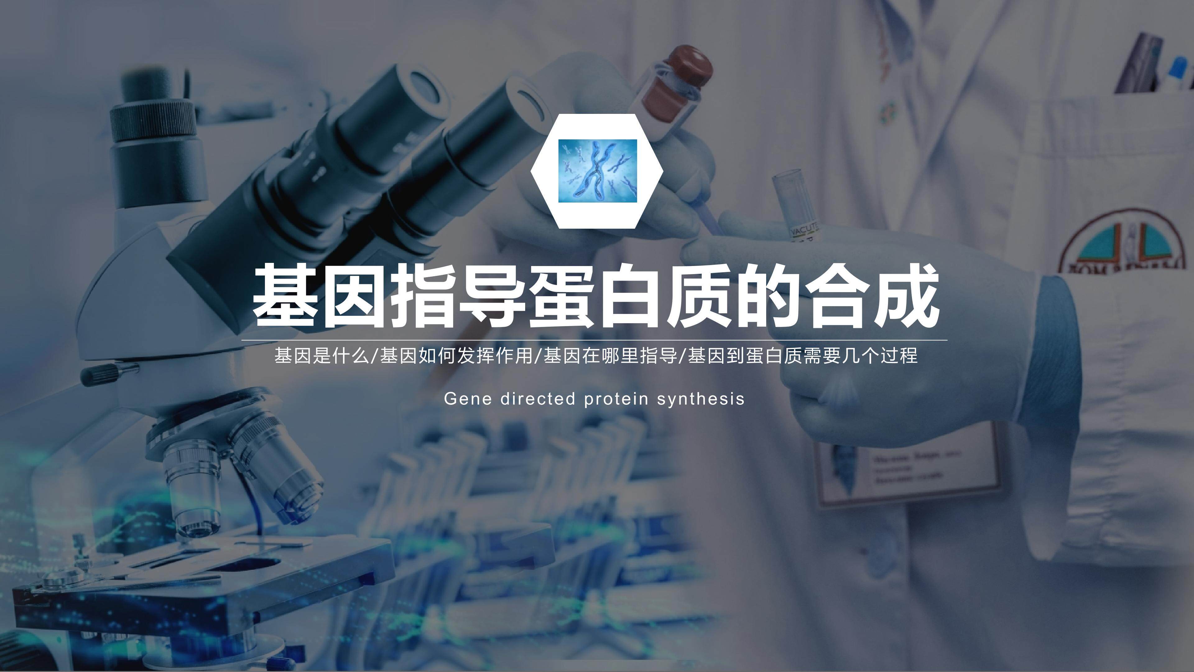 基因指导蛋白质合成