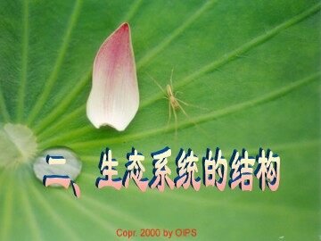 生物高中必修3第五章第一节课件13