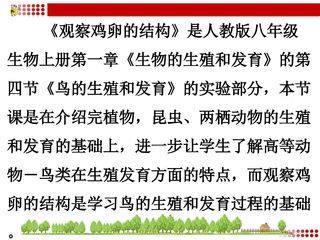 观察鸡卵的结构