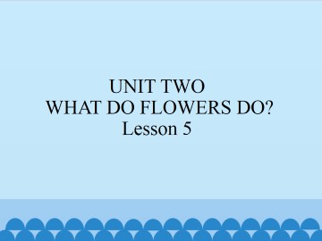 UNIT TWO  WHAT DO FLOWERS DO?-Lesson 5_课件1