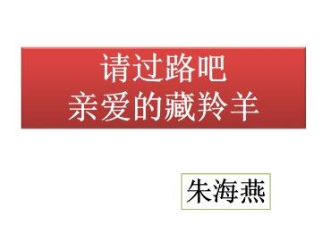 请过路吧亲爱的藏羚羊_课件1