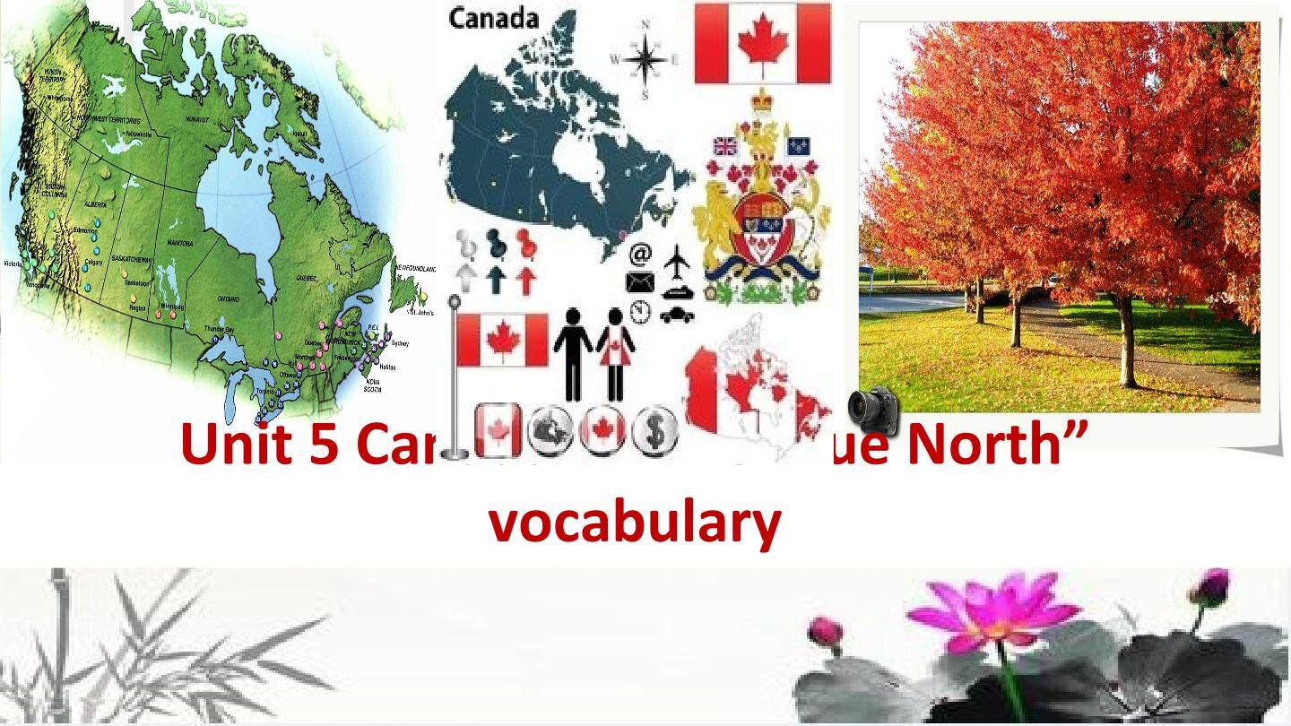 Canada The True North