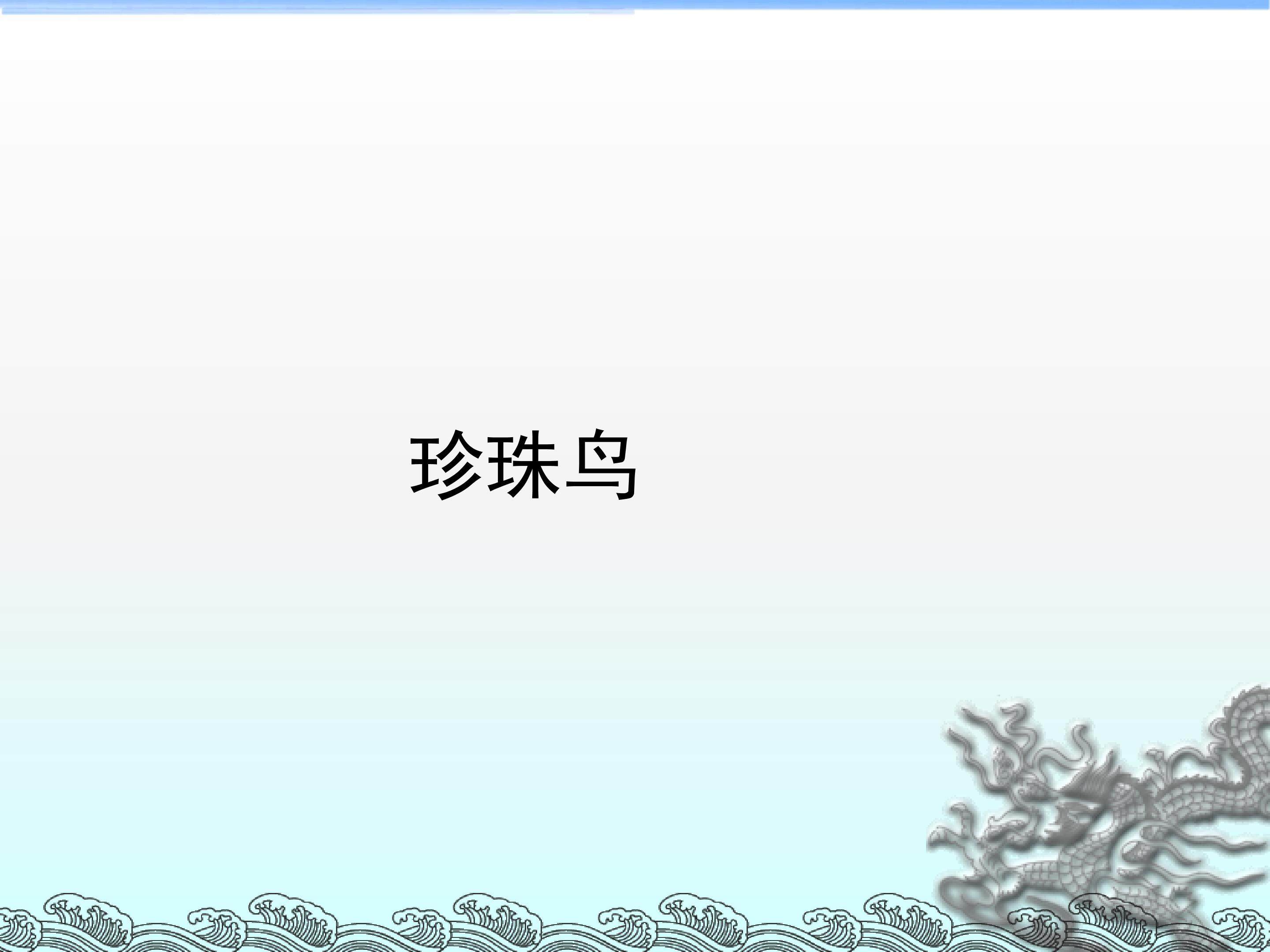 珍珠鸟_课件1