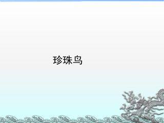 珍珠鸟_课件1