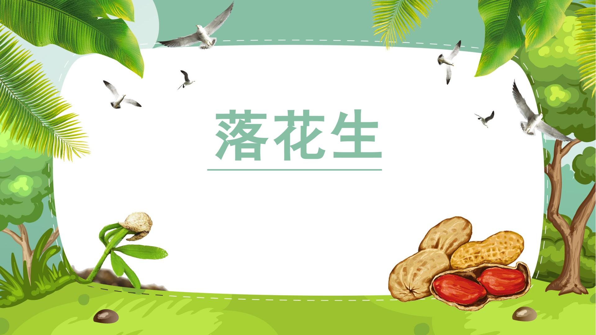 落花生