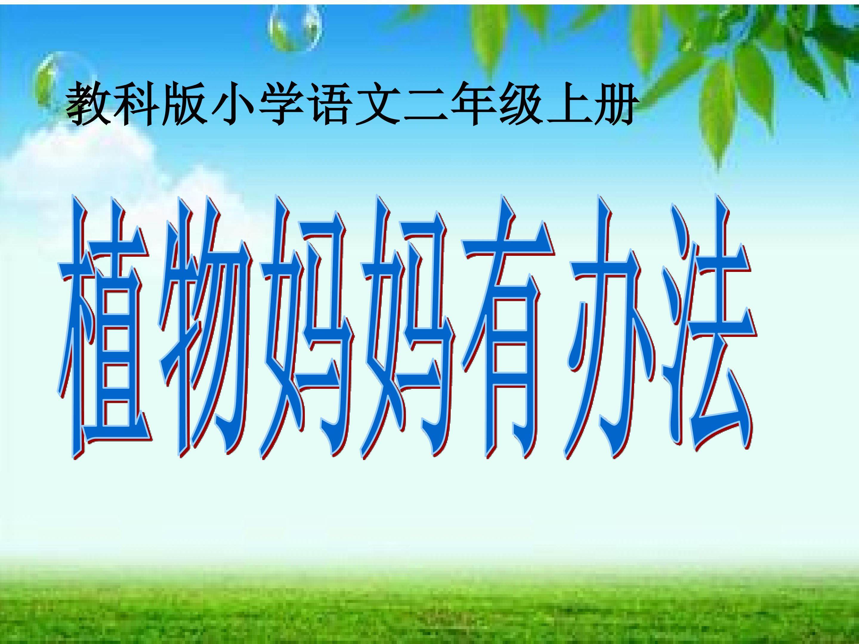 植物妈妈有办法