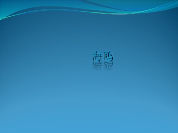 海鸥_课件1