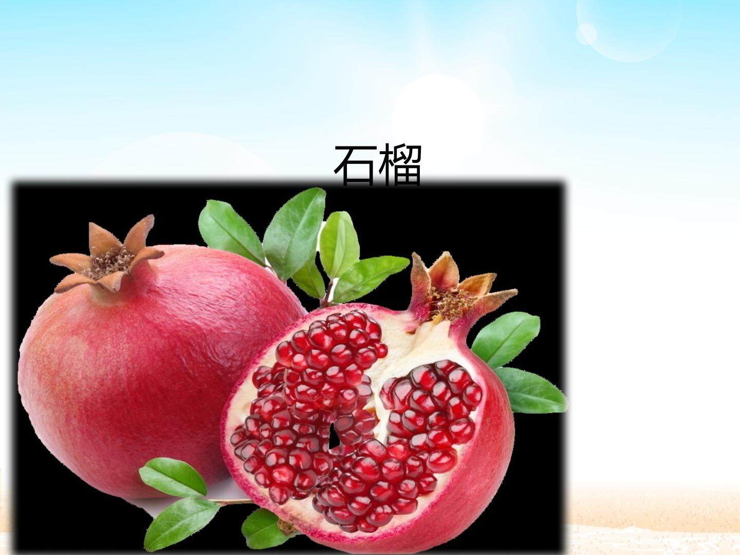 石榴_课件1