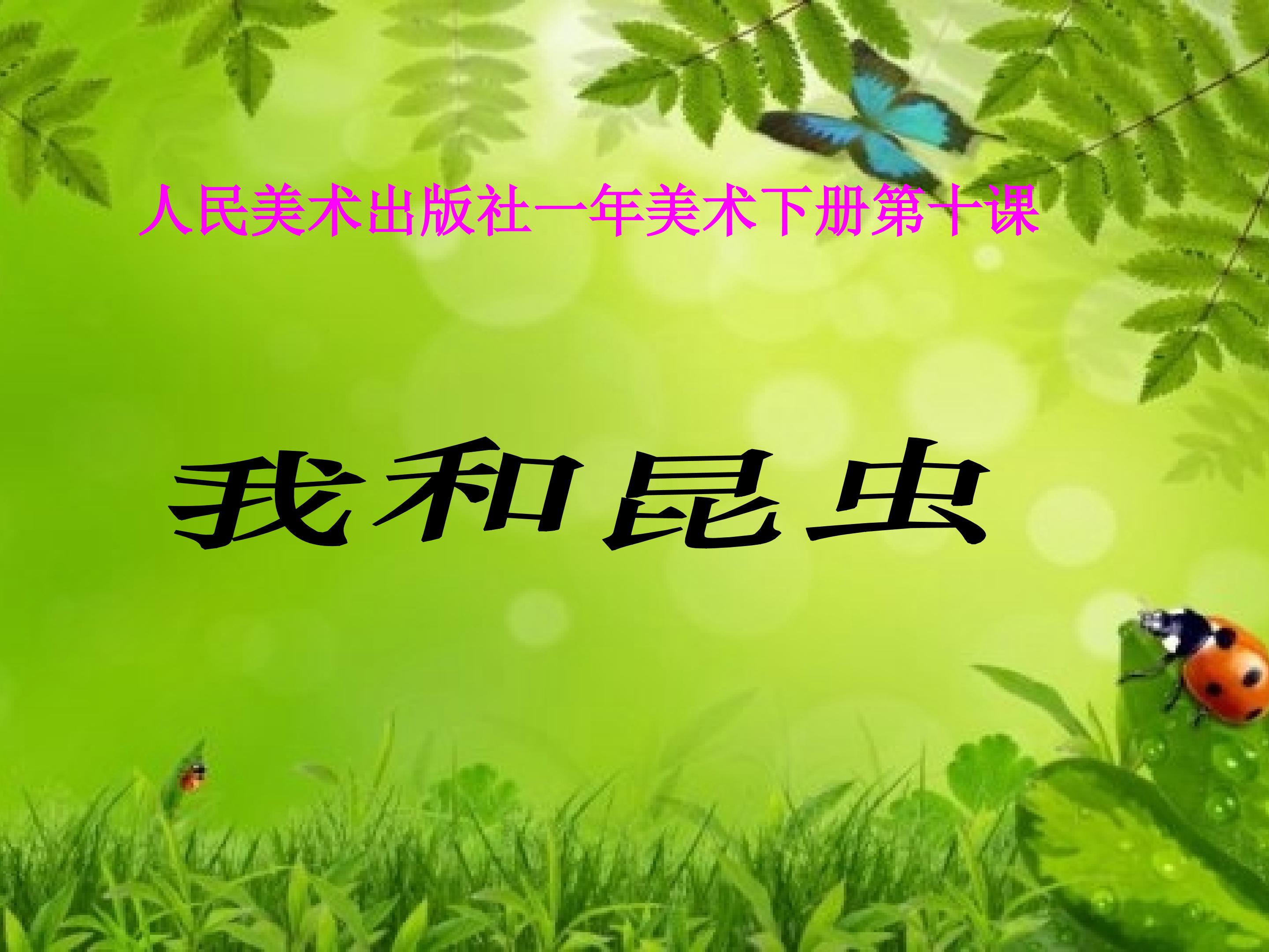 我和昆虫
