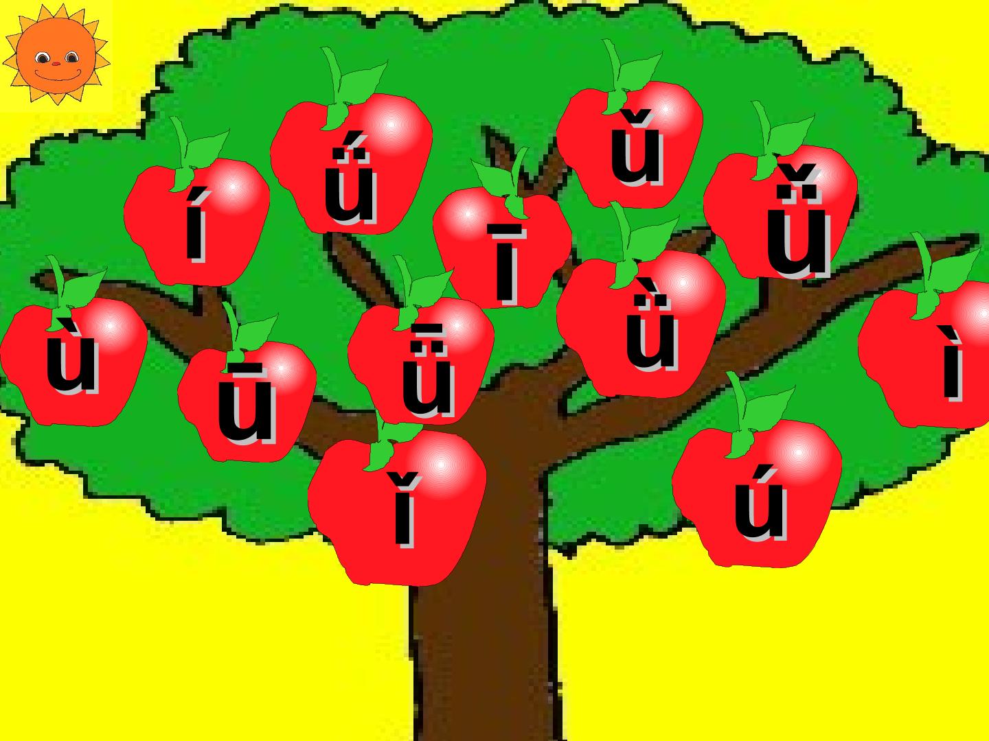 17.jpg