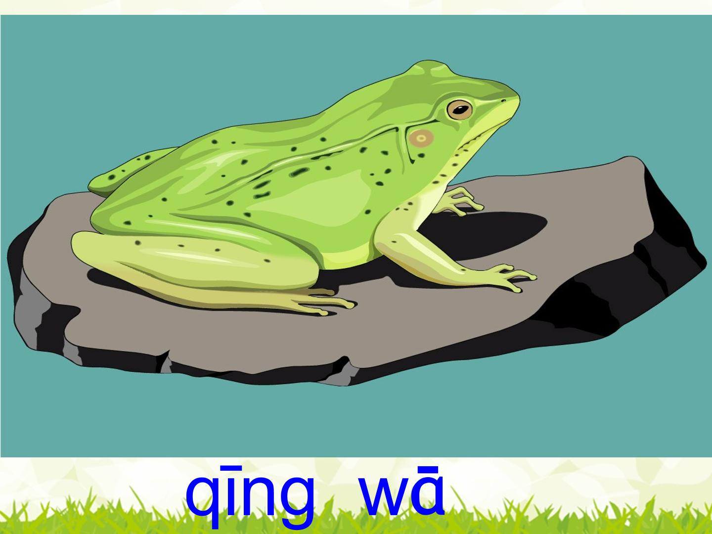 40.jpg