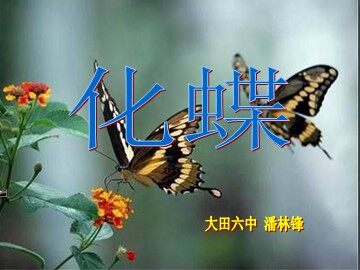 《化蝶》音乐课件