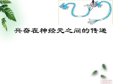 与生物学有关的职业 神经外科医生