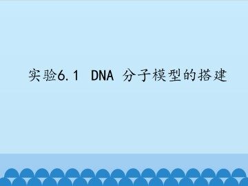 实验6.1  DNA 分子模型的搭建_课件1