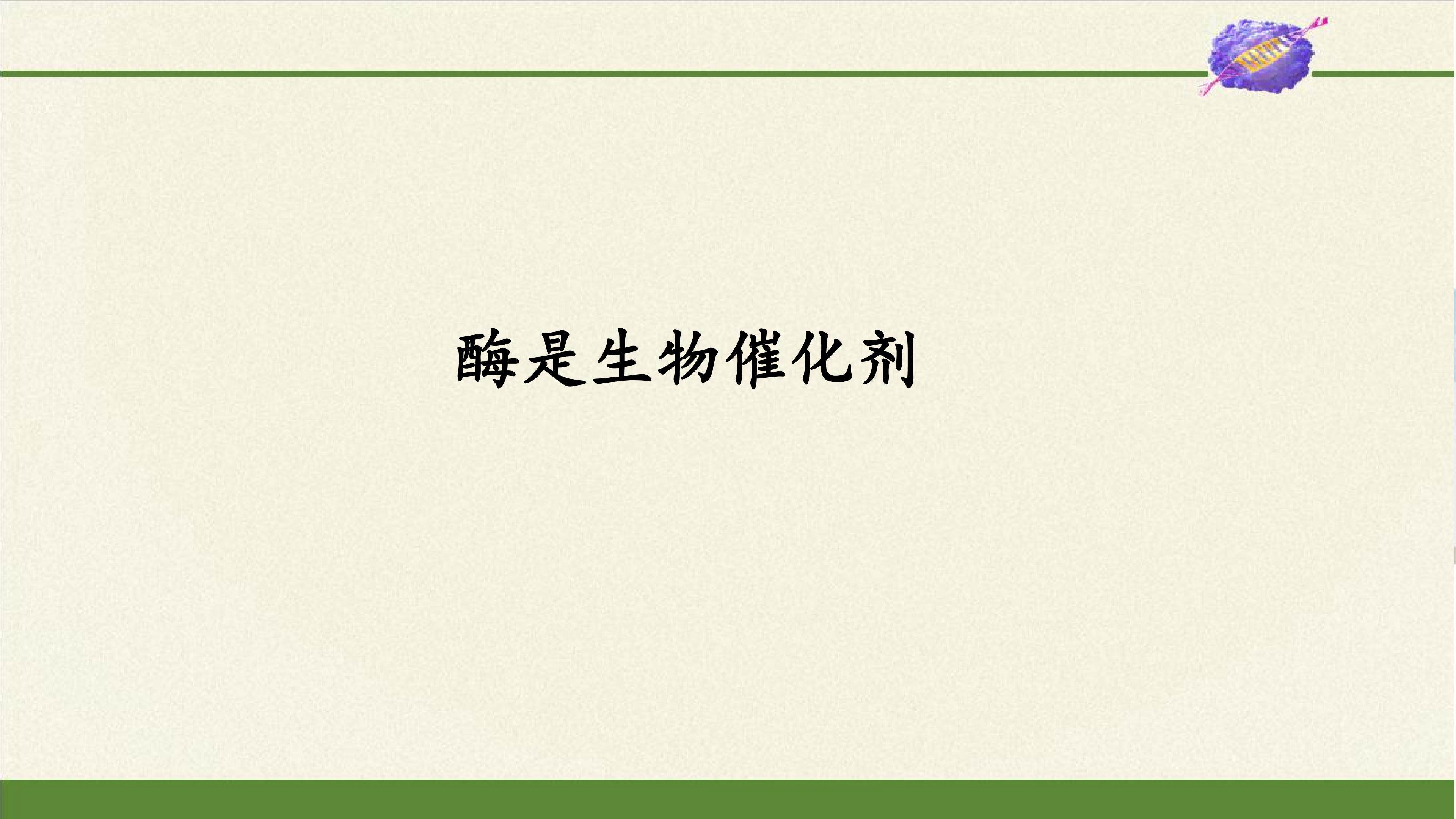 酶是生物催化剂