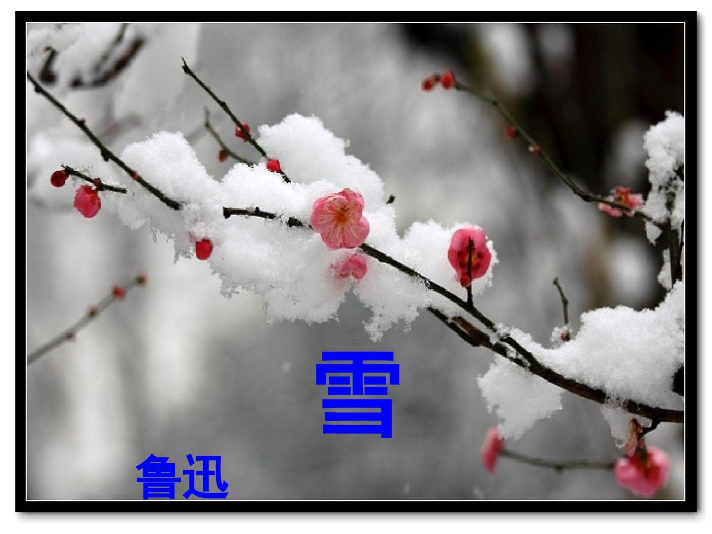 雪_课件3