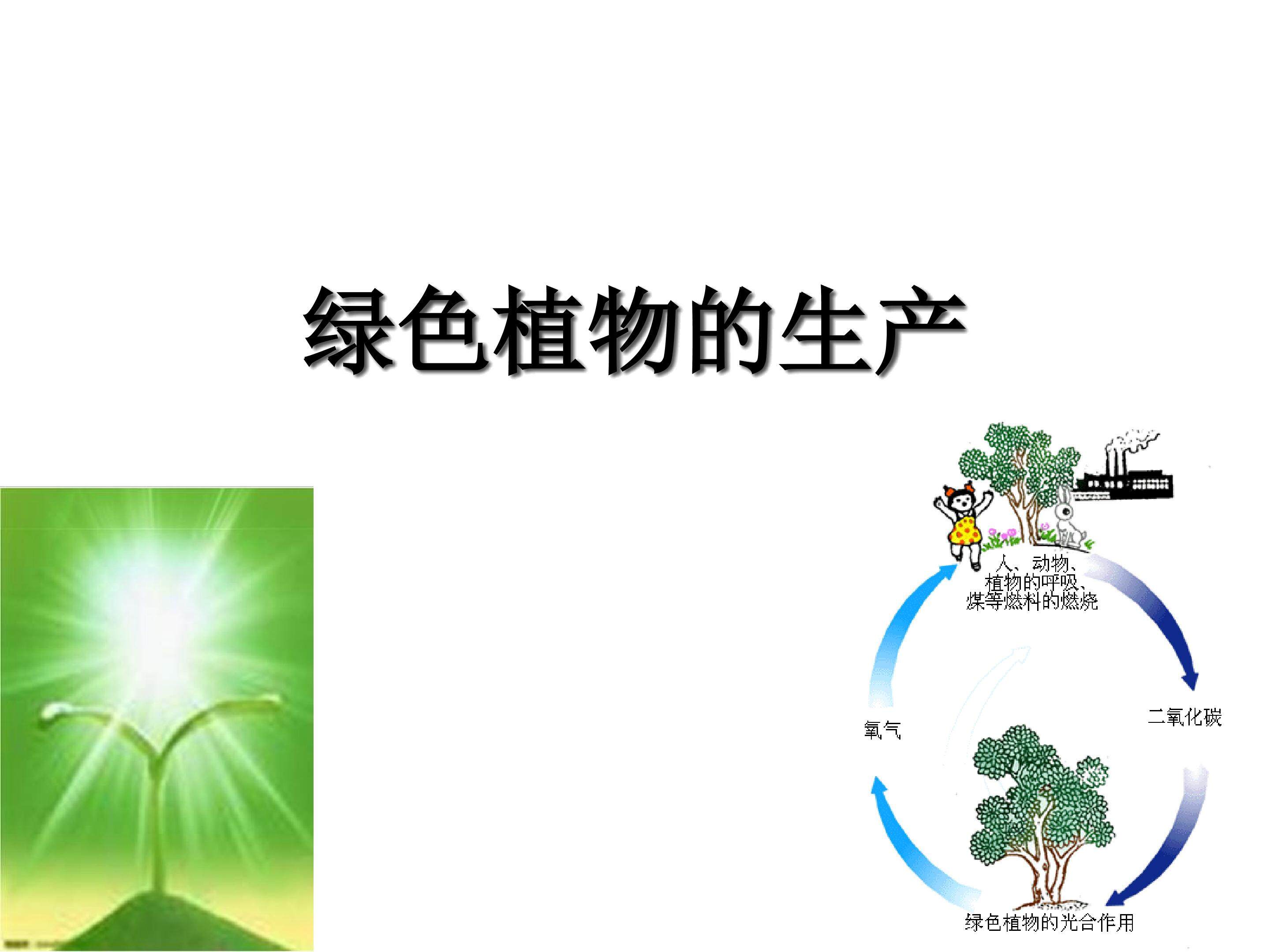 绿色植物的生产_课件1