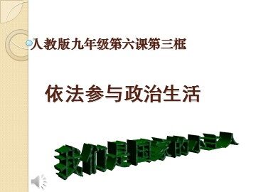 ○ 依法参与政治生活
