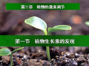 生物高中必修3第三章第一节课件3