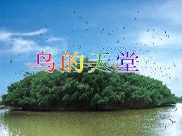 3 鸟的天堂