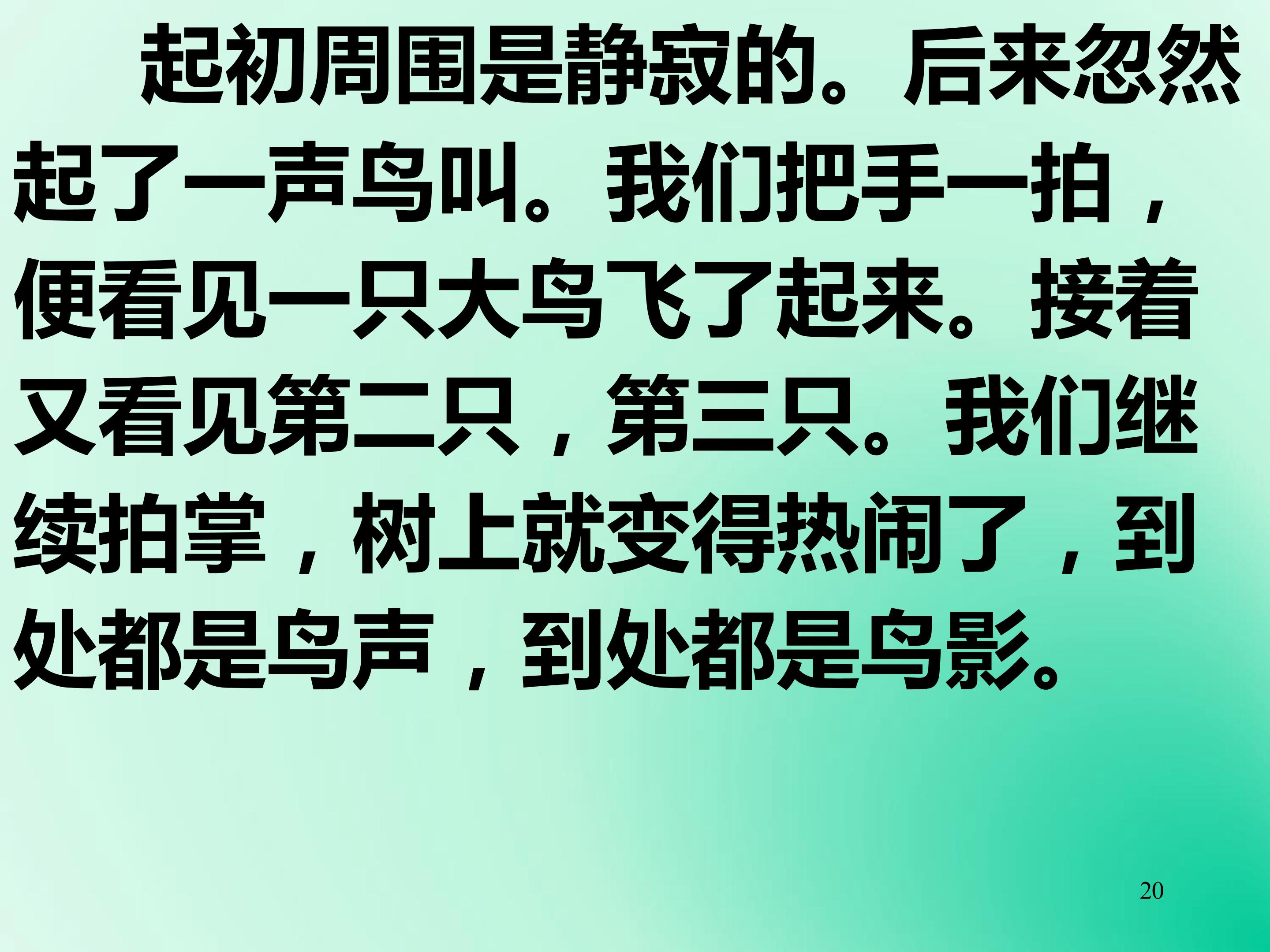 20.jpg
