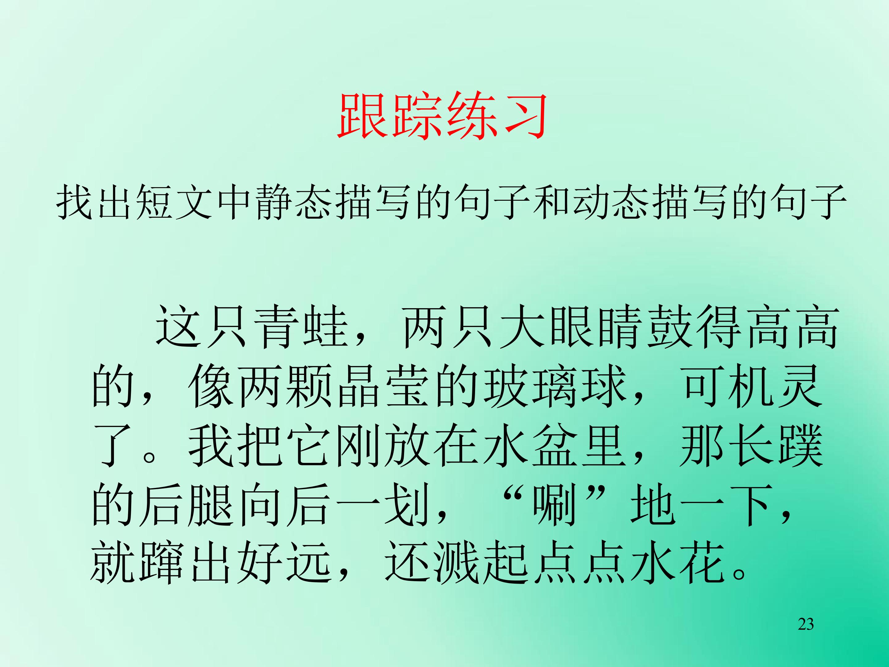 23.jpg